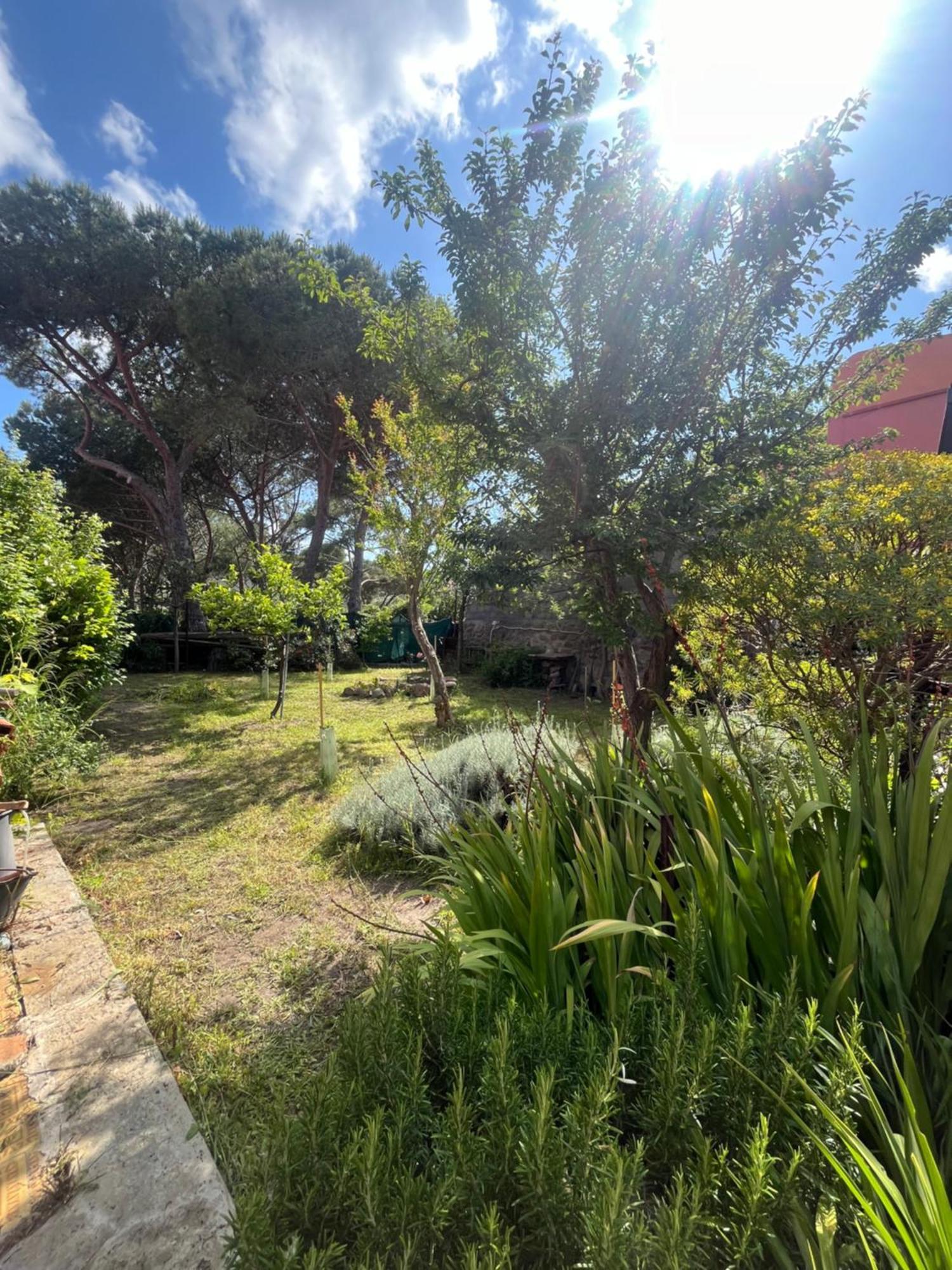 Villa Casa Vista Castello Capraia Esterno foto