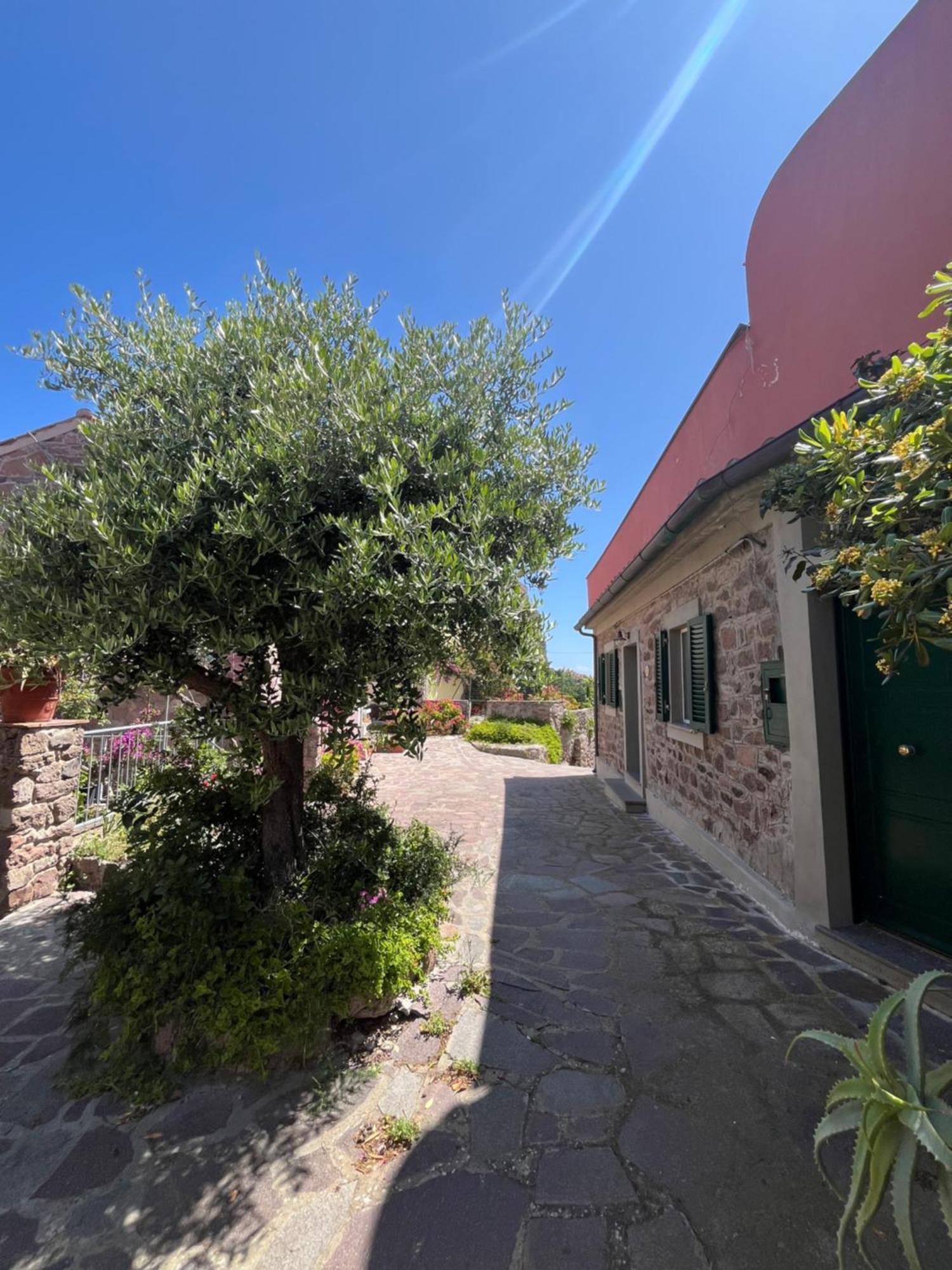 Villa Casa Vista Castello Capraia Esterno foto